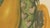Paper Hoola van Nooten, Papaya Botanical, 1880, Chromolithograph For Sale - Image 7 of 9