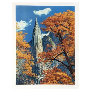 Doug Webb Reconstruction Serigraph