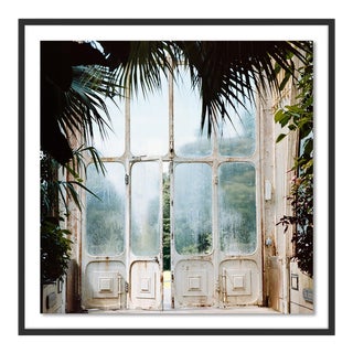 Greenhouse 2 by Annie Spratt, Art Print in Black Frame, Small For Sale