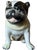 A wonderfully expressive Staffordshire porcelain pug, capturing the endearing personality and stout elegance that have...