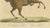 Paper Brodtmann, Horse Equus Angliae, 1816, Paper For Sale - Image 7 of 9