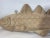 Six Foot Carved Wood Codfish For Sale - Image 4 of 12