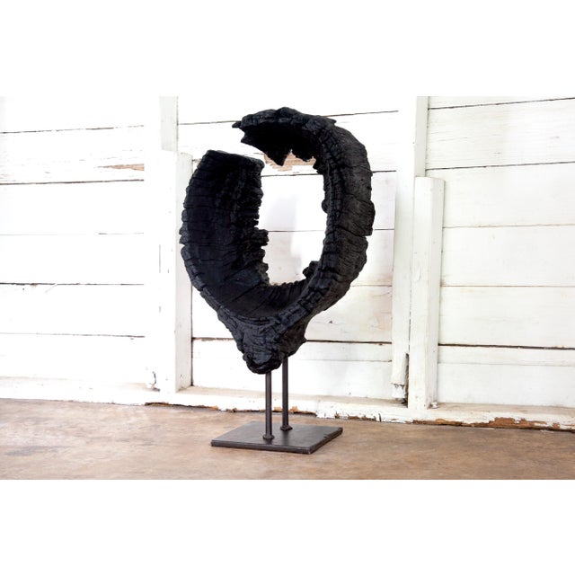 Contemporary Kandara Yakisugi Modern Organic Sculpture For Sale - Image 3 of 11