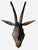 Black Forest Goat Chamois Deer Head For Sale - Image 4 of 5