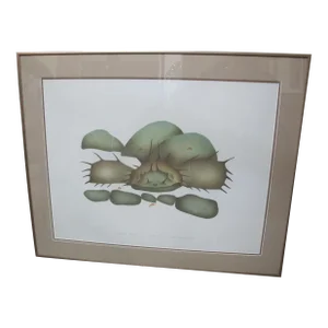 Eloknak Mabel Nigiyok Canada Inuit Signed Limited Ed Serigraph Sculpin Hiding
