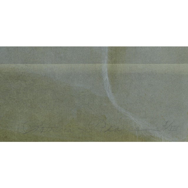 1990s White Lace and Ribbons Collotype by Patricia A. Pearce For Sale - Image 5 of 5