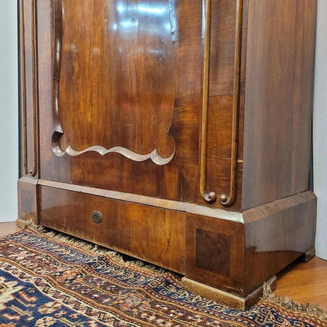 Brown Biedermeier Style Wardrobe / Cabinet in Ash Wood, Germany, 1840 For Sale - Image 8 of 18