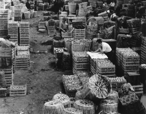 Roz Joseph Lisbon "Portugal Marketplace" Black and White Photograph, 1960s