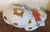 Large 13.25" Japanese Kutani Porcelain Figure of a Sleeping Cat For Sale - Image 10 of 15