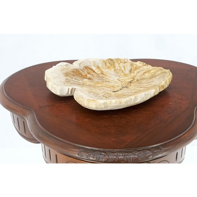 Tan Petrified Wood Round Shape Tan & Amber Oval Bowl Dish Large Plate Ashtray For Sale - Image 8 of 8