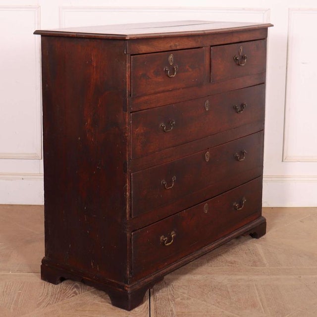 18th Century English Elm Chest of Drawers, 1950s For Sale - Image 6 of 7