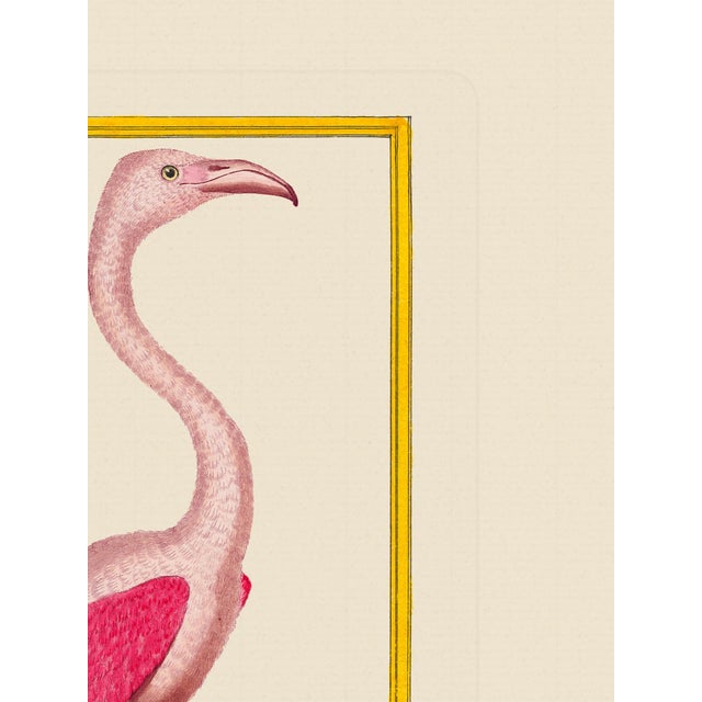 Shore Bird Grouping by Martinet Blue and Pink Giclee Reproductions For Sale - Image 11 of 11