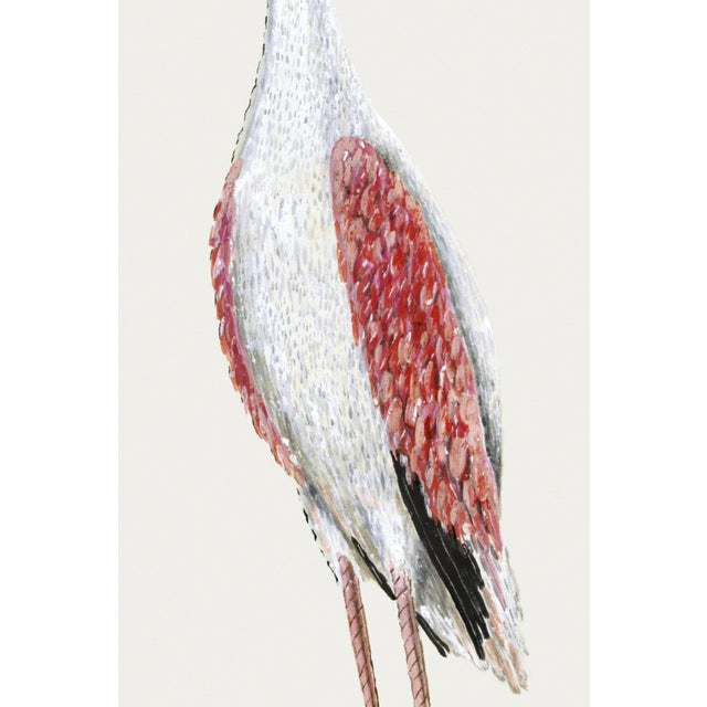 Not Yet Made - Made To Order Greater Flamingo Reproduction Art Print by Robert Jacob Gordon, 24" × 36" For Sale - Image 5 of 7