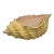 Large Vintage 1985 Handcrafted Sea Shell Centerpiece For Sale