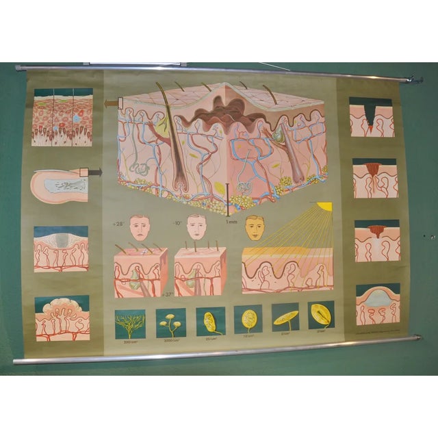 German School Print in Leather Edition, 1981, in Very Good conditions. Designed 1980 to 1989