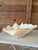 Organic Modern Coastal Clam Shell Vessel For Sale In Naples, FL - Image 6 of 11