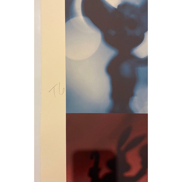Todd Gray, Color Iris Photo Print Conceptual Shadow Cartoons Polyptych Photograph Todd Gray, c.1997 For Sale In Miami - Image 6 of 10