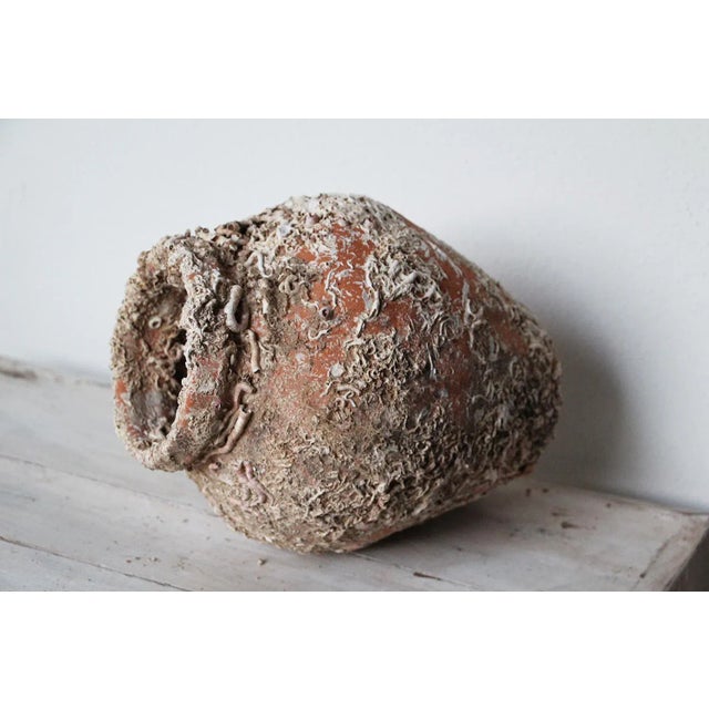 Brown 19th Century Antique Terracotta Octopus Trap Vase For Sale - Image 8 of 12