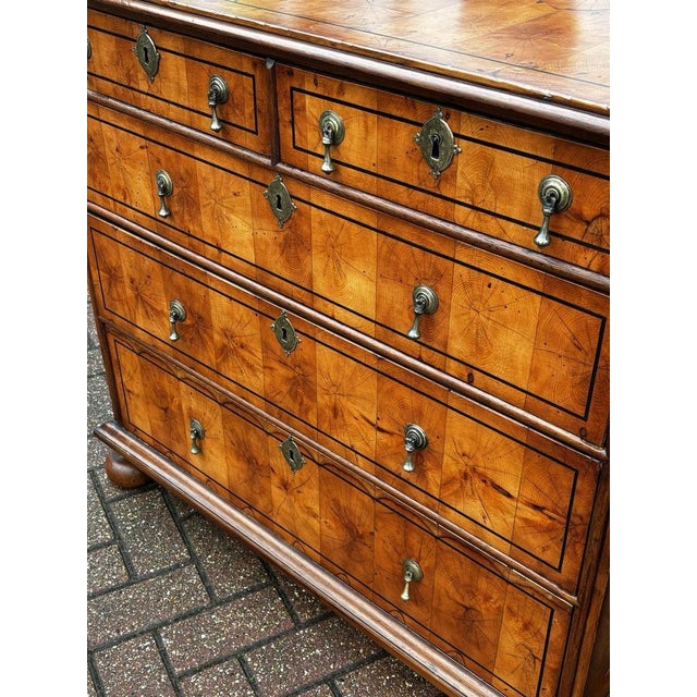 Oyster Veneer Chest of Drawers with Original Brass Handles from William & Mary For Sale - Image 11 of 18