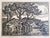 We are selling this Mid-century linocut print by famed artist Birger Sandzen. This simple linocut woodblock style print...
