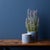 Modern Ornamental Blue andWhite Ceramic Pot (Set of 2) For Sale - Image 3 of 6