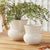 Ceramic Delaney Pot Small For Sale - Image 7 of 7
