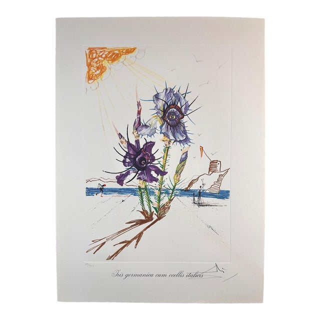 1970s Share Dali Florals Iris of Dali's Youth Hand Signed Numbered Etching Surreal Art For Sale