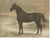 Black O. Eerelman, Russian Half-Blood Horse, 1898, Chromolithograph For Sale - Image 8 of 9