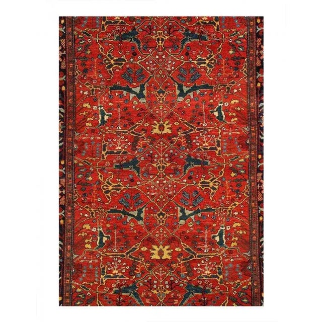 Bidjar is a town in Kurdistan located in north-west . The Bidjar name is also used to describe the antique rugs that were...