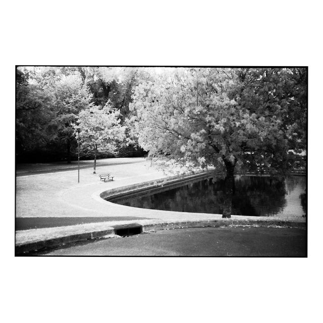 Paul Cooklin, Park, Ardennes Region, Edition of 50 For Sale