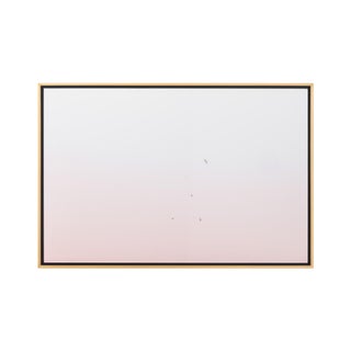 "Pink Flight," Framed Photograph by Timothy Hogan For Sale