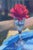Rose in Flute by Bruce A Gómez | Pastel of a red rose in a glass vase on a blue tablecloth For Sale