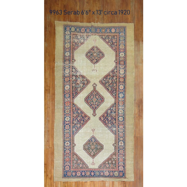 Tribal 19th Century Serab Gallery Rug - 6'6" x 11' For Sale - Image 10 of 10