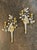 A beautiful pair of Italian gilt metal and rock crystal sconces, after Maison Bagues. Circa 2000. A stunning addition to...