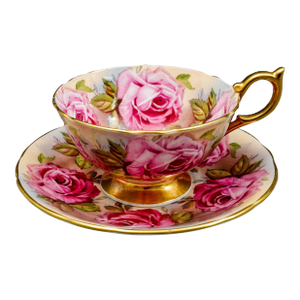 Anysley England 13 Pink Cabbage Roses 1026 Bone China Tea Cup & Saucer Set