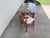 1990s Tropical Honeymoon Dinette For Sale - Image 4 of 6