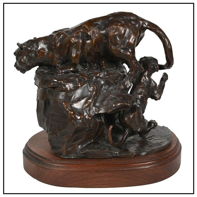Late 20th Century Gotcha Cougars, Joffa Kerr For Sale - Image 4 of 5