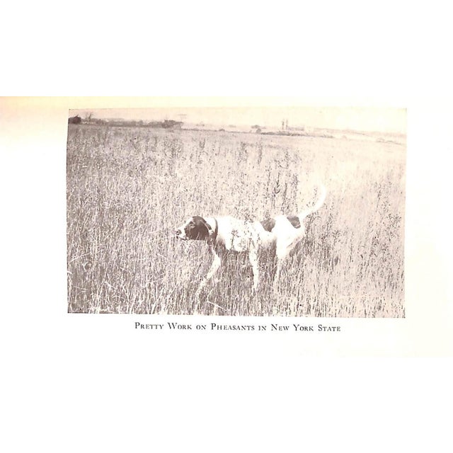 1940s "How to Train Your Dog" 1940 Lytle, Horace For Sale - Image 5 of 7