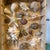 Curated Marine Specimen Collection in a Hinged Natural Wood Shadow Box Vitrine For Sale - Image 4 of 12