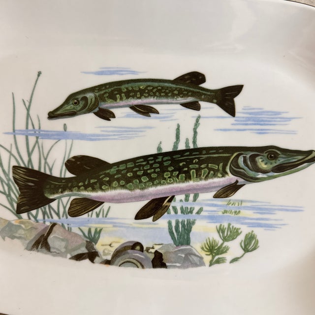 Traditional Vintage Mediterranean Ba Aria Oval Porcelain Fish Platter For Sale - Image 3 of 8