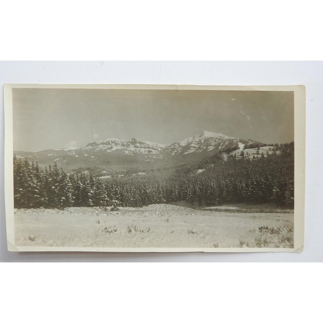 Rustic Early 20th Century Snapshot Photograph of Rams Horn Mountain For Sale - Image 3 of 3