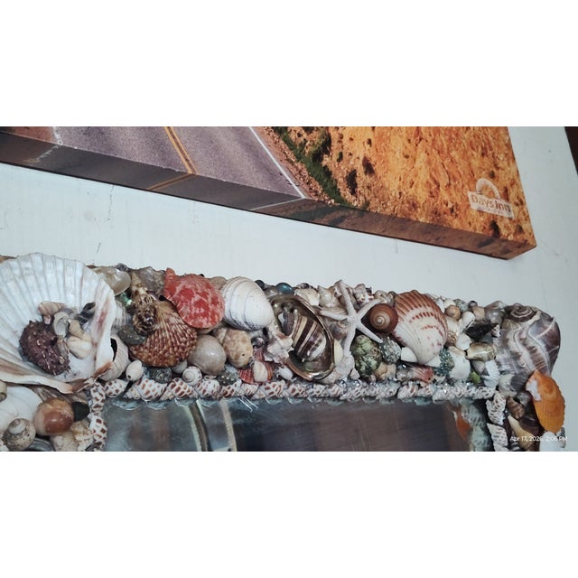 Vintage Handcrafted California Seashell Mirror For Sale - Image 12 of 18