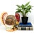 Charming vintage ceramic turkey tureen from the Bella Casa by Ganz collection, beautifully modeled with textured plumage...