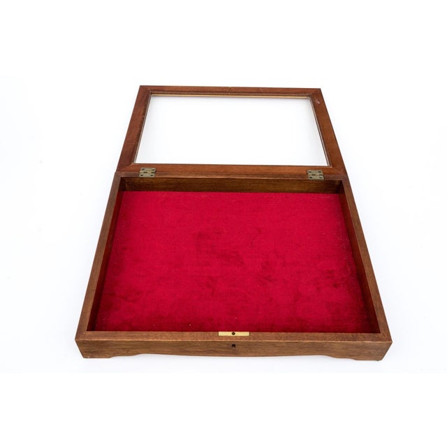 Vintage Tabletop Burl Wood and Glass Keyed Collector’s Display Box For Sale - Image 4 of 11