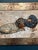 Plat. Victor, Dachshunds, 1960s, Oil on Canvas, Framed For Sale - Image 4 of 18