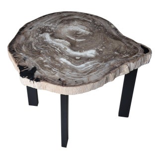 Andrianna Shamaris Petrified Wood Slab Table For Sale