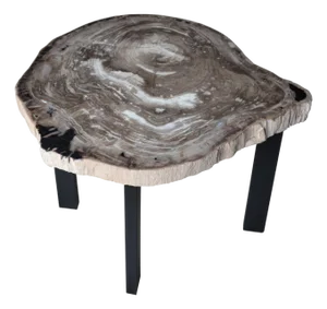 Andrianna Shamaris Petrified Wood Slab Table