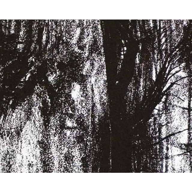 1970s Modern Henry Moore Lithograph Original Ltd. Edition "Forest" For Sale In Atlanta - Image 6 of 9