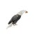 Eagle in Quartz and Silver For Sale - Image 6 of 6