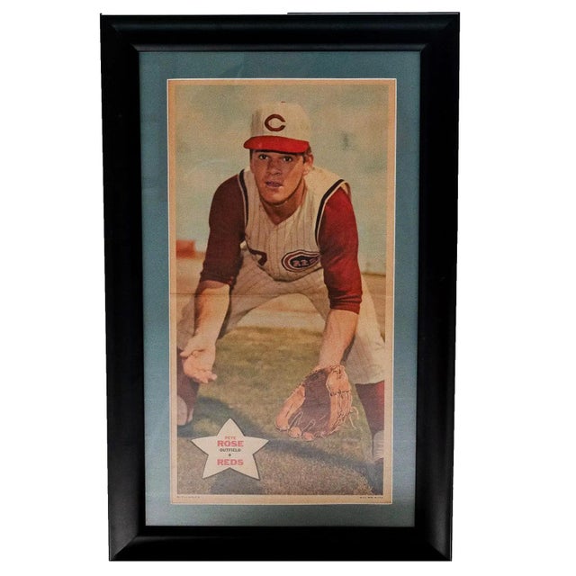 Vintage framed color print of Pete Rose, Cincinnati Reds outfielder, shown in uniform in a classic baseball pose. Includes...